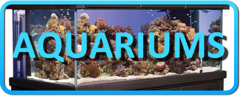 Acheter un aquarium en ligne - AQUARIUMS Button