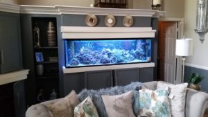 aquarium maintenance palm beach