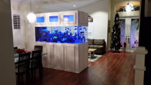 aquarium installation palm beach