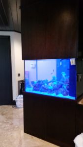 aquarium installation palm beach