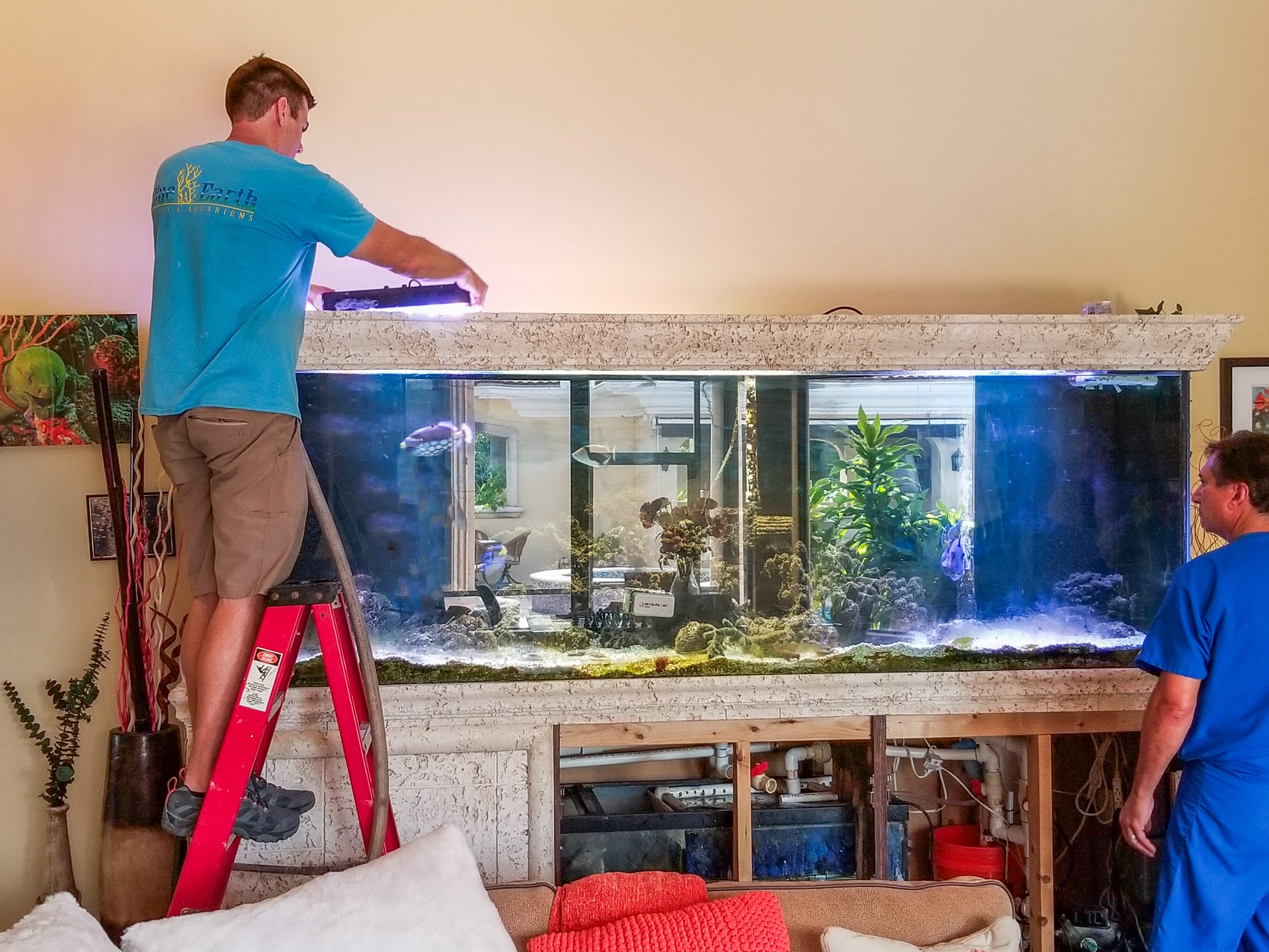 Blue Earth Aquariums Maintenance