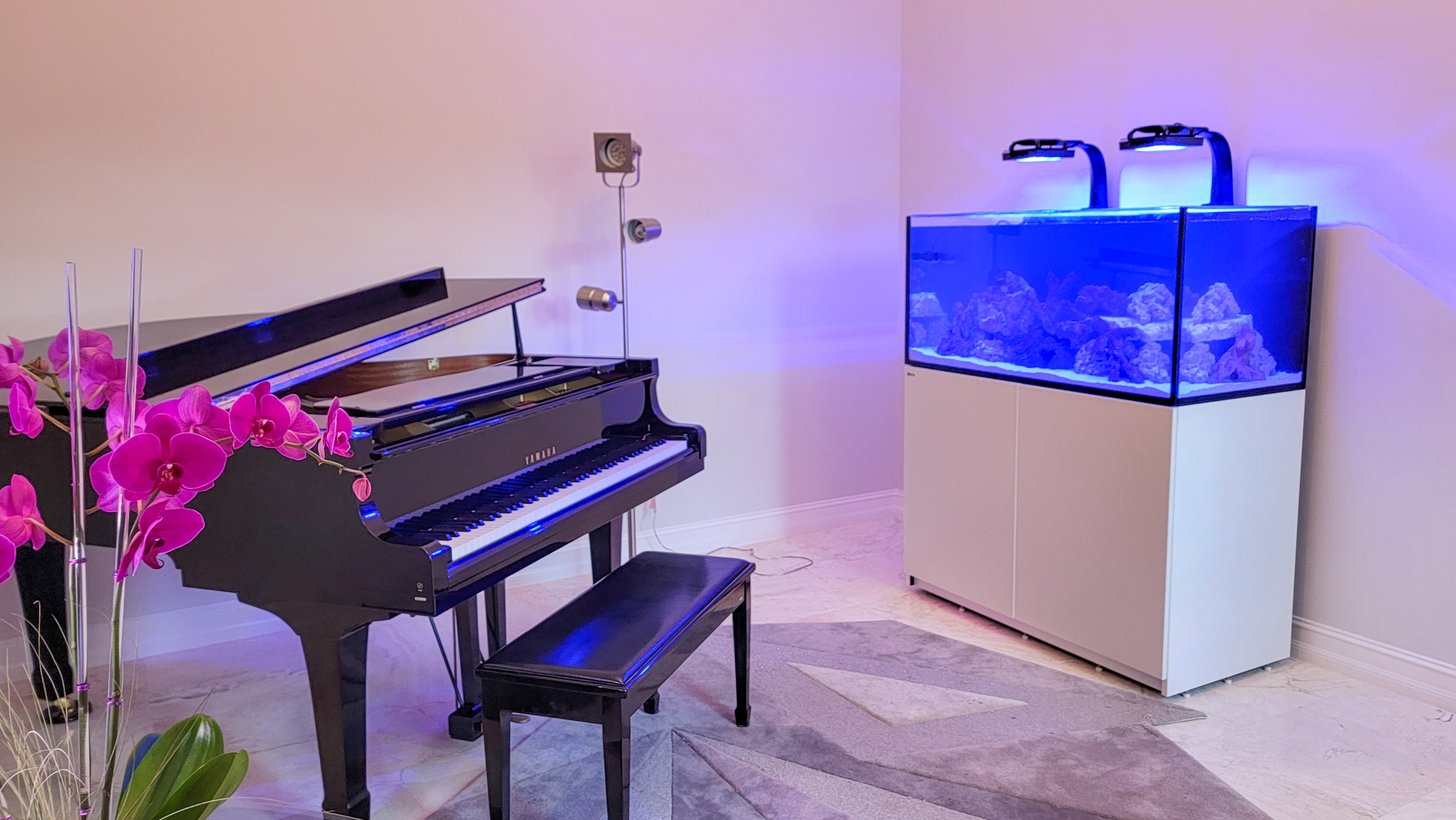 Blue Earth Aquariums Piano Tank