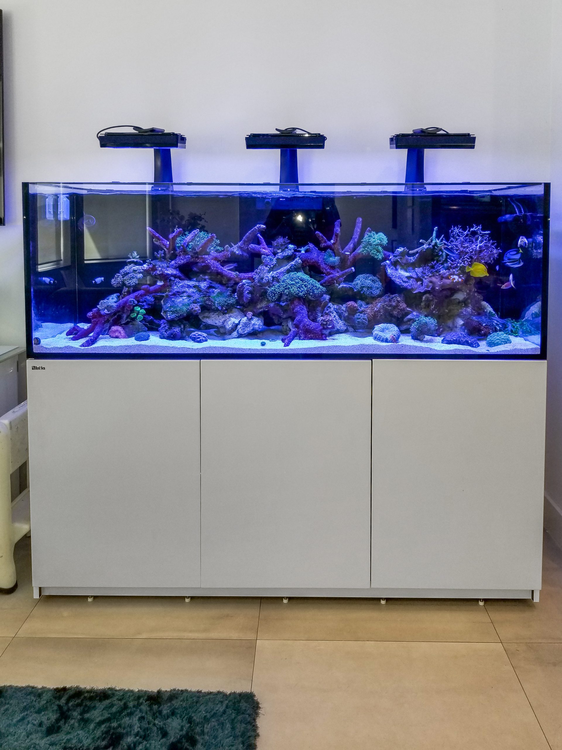 Blue Earth Aquariums 125 Red Sea 625XXL